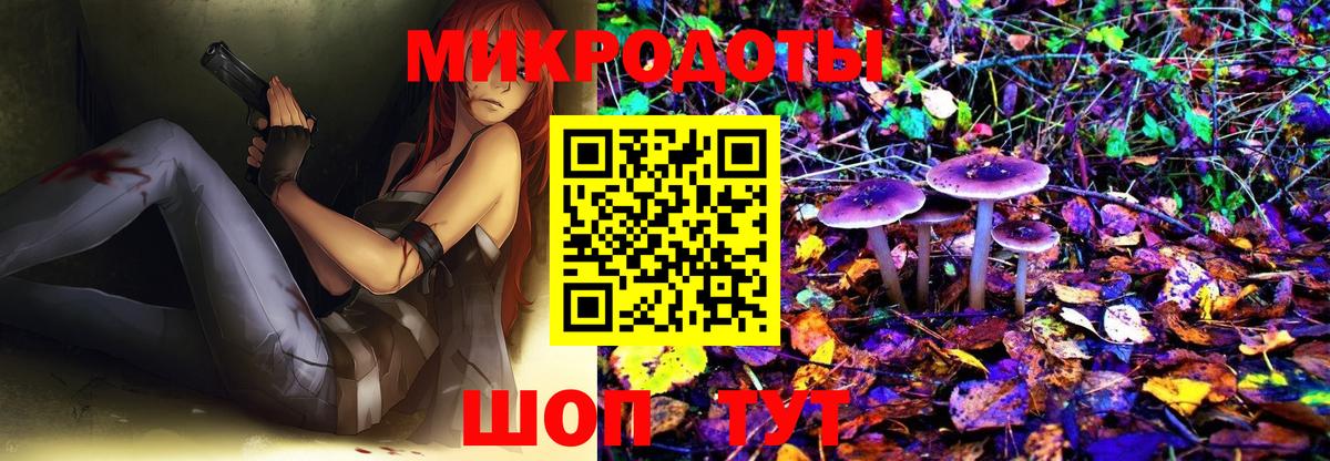 Галлюциногенные грибы Magic Shrooms  Вход с VPN  Вичуга 