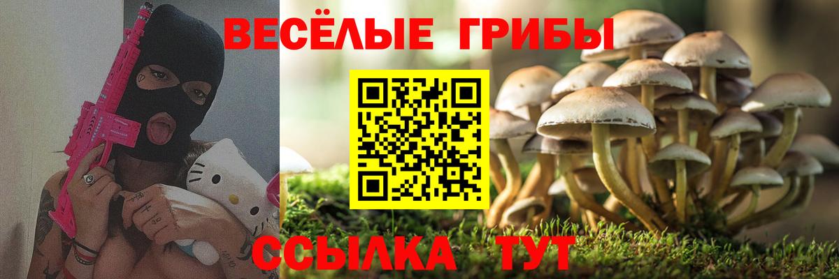 Галлюциногенные грибы Cubensis Вичуга
